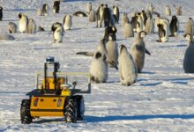 Conoce al robot que vigila a los pingüinos emperador en la Antártida