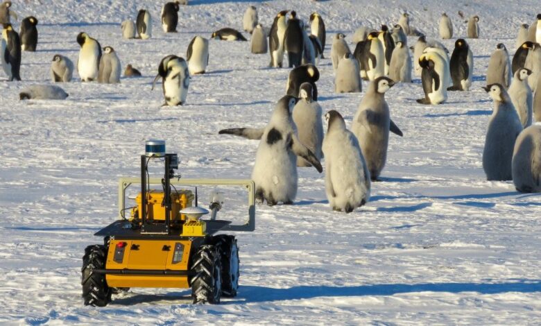 Conoce al robot que vigila a los pingüinos emperador en la Antártida