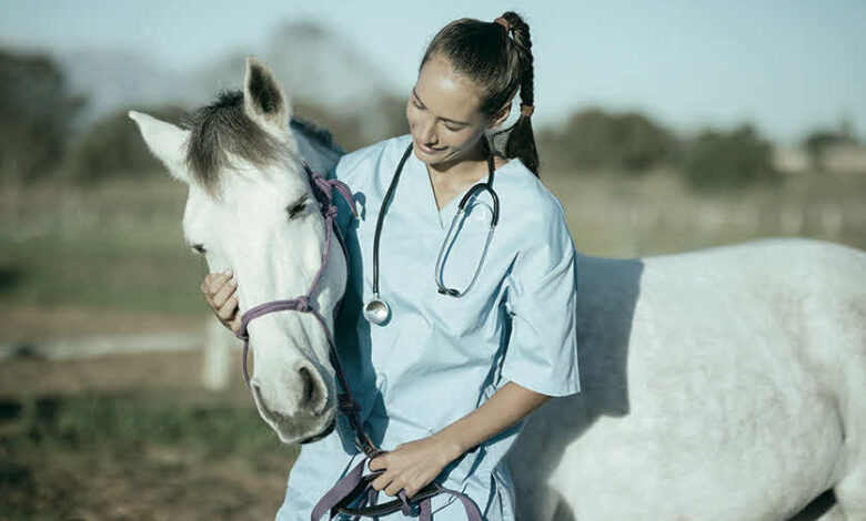 La primera búsqueda de empleo |  Voz veterinaria