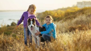 Vida segura con perros y niños