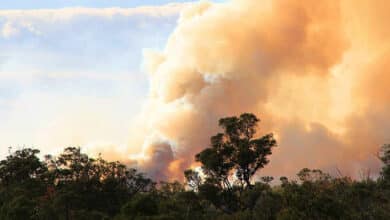 Incendios forestales y otras emergencias: lo que debe saber